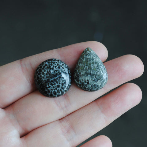 Fossil coral cabochons