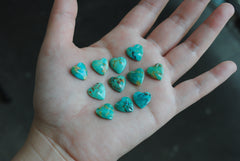 Kingman turquoise heart cabochons (lot 1)