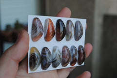 Botswana Agate cabochons