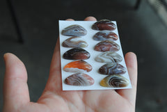 Botswana Agate cabochons