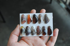 Botswana Agate cabochons