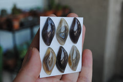Botswana Agate cabochons