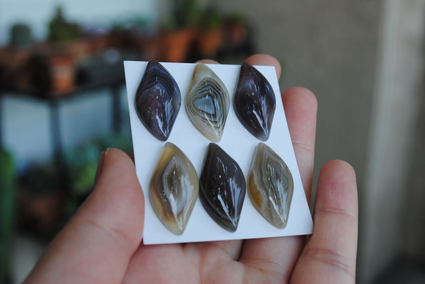 Botswana Agate cabochons