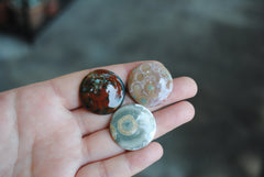 25mm round Ocean Jasper cabs