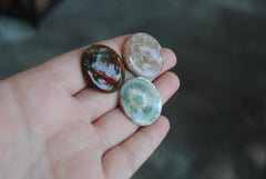 25mm round Ocean Jasper cabs