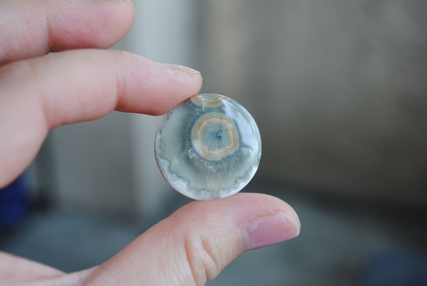 25mm round Ocean Jasper cabs