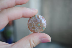 25mm round Ocean Jasper cabs