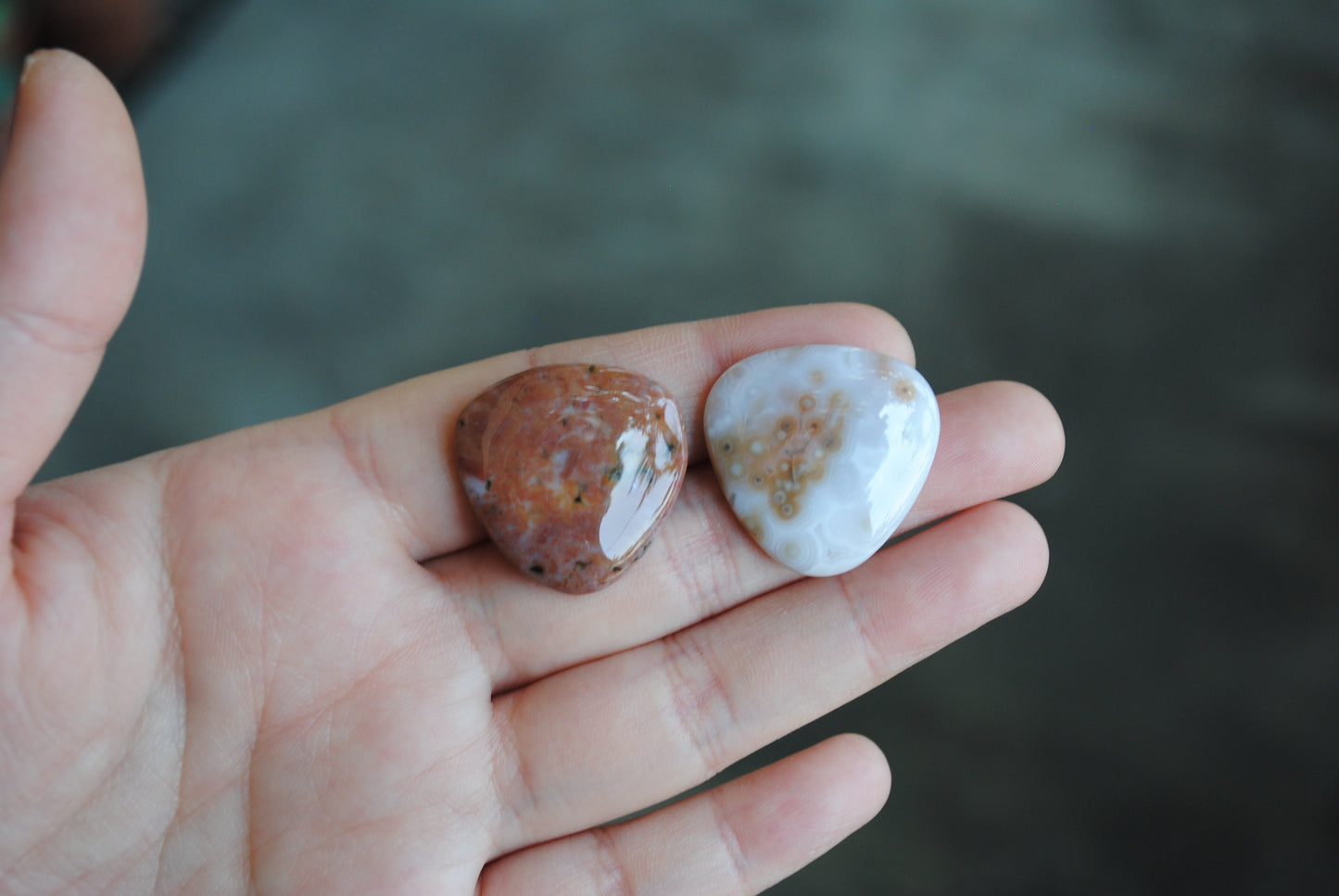 Trillion Ocean Jasper cabochons