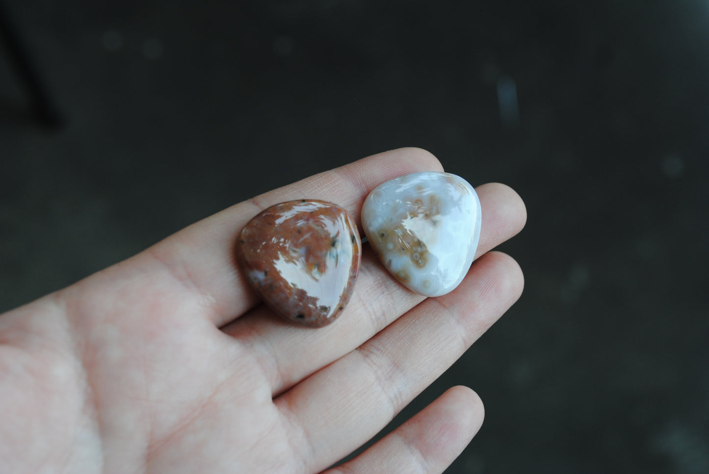 Trillion Ocean Jasper cabochons