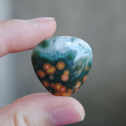 Trillion Ocean Jasper cabochon