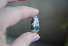 Drop Ocean Jasper cabochon