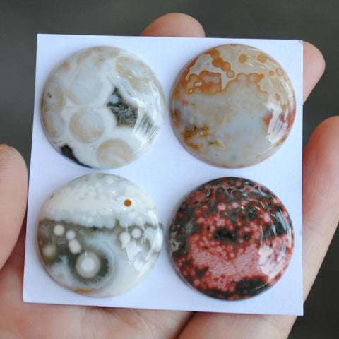 Round Ocean Jasper cabochons