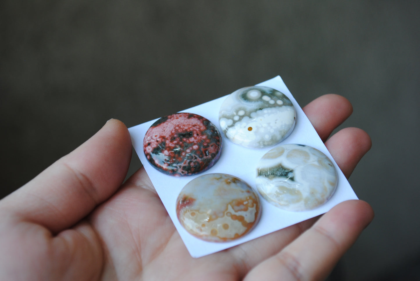 Round Ocean Jasper cabochons
