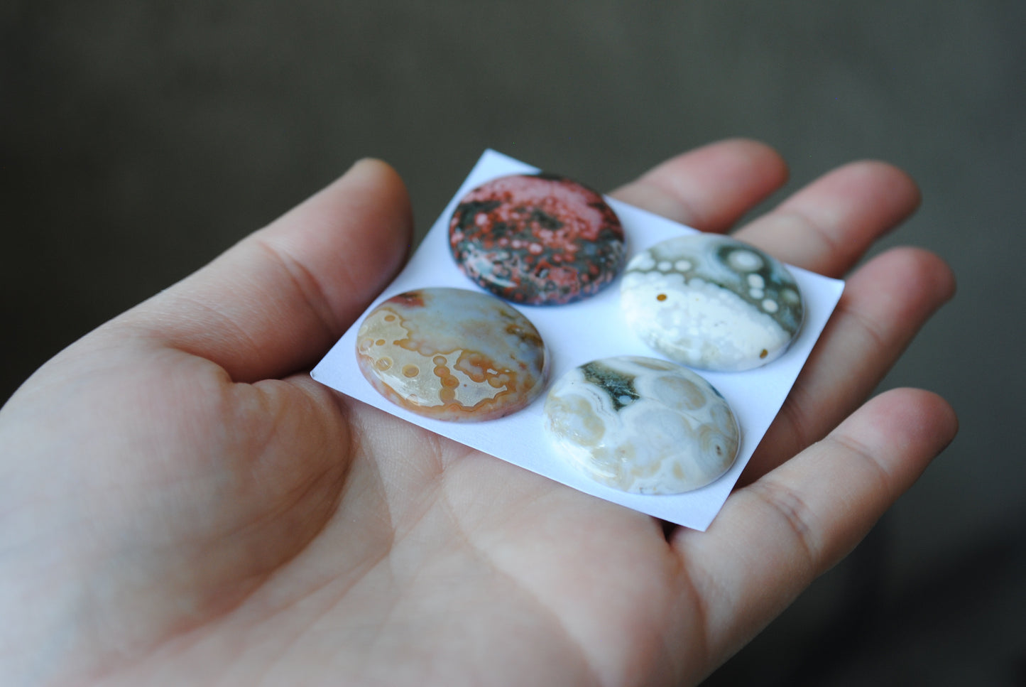 Round Ocean Jasper cabochons