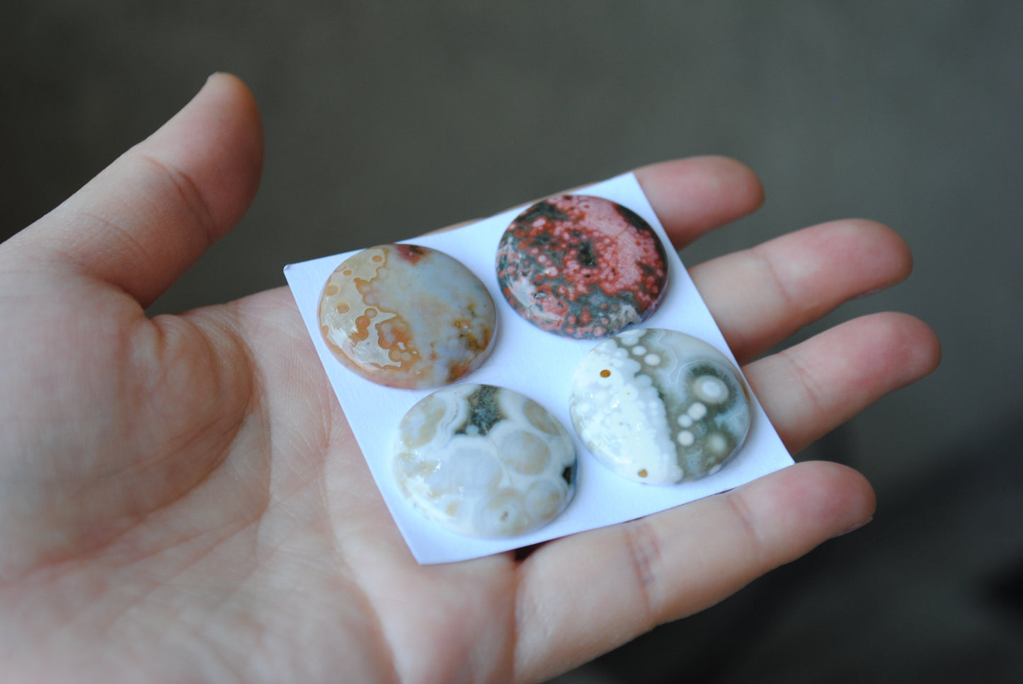 Round Ocean Jasper cabochons