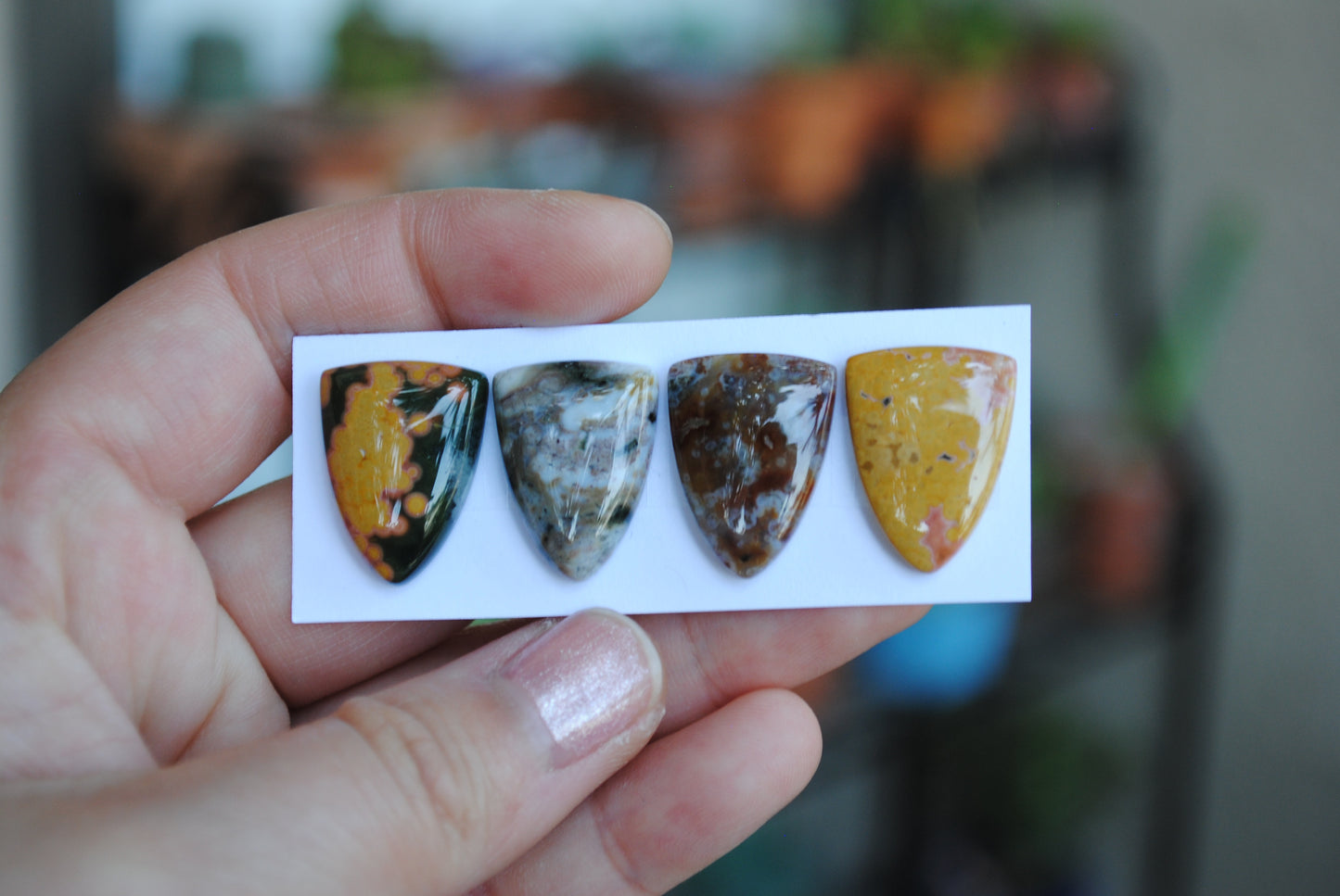 Shield Ocean Jasper cabochons