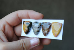Shield Ocean Jasper cabochons