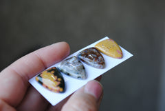 Shield Ocean Jasper cabochons
