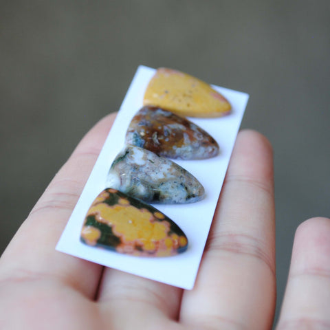 Shield Ocean Jasper cabochons