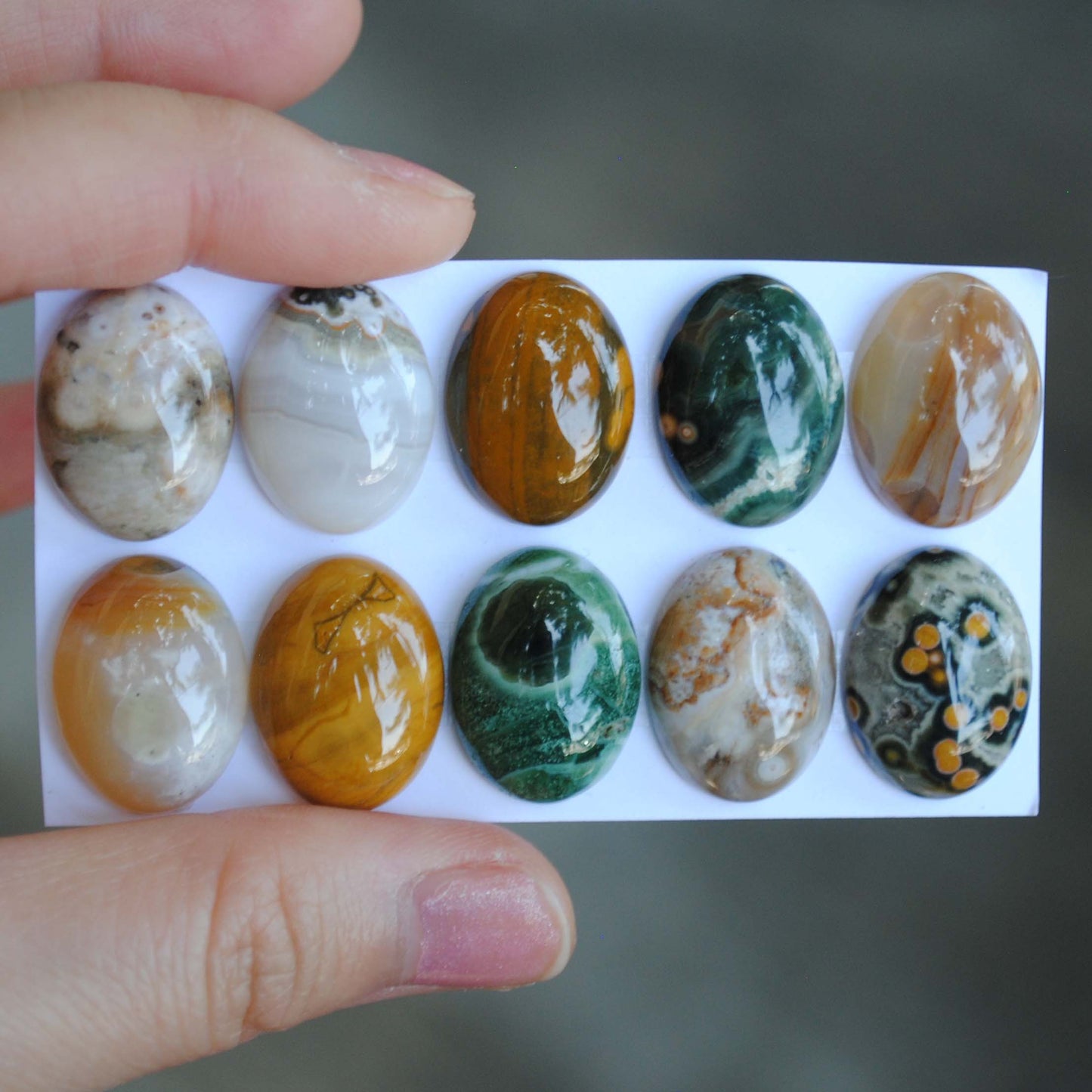 Oval Ocean Jasper cabochons
