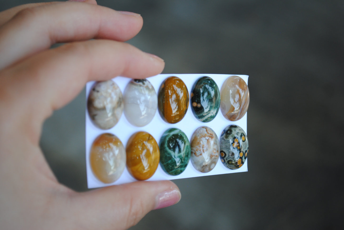 Oval Ocean Jasper cabochons