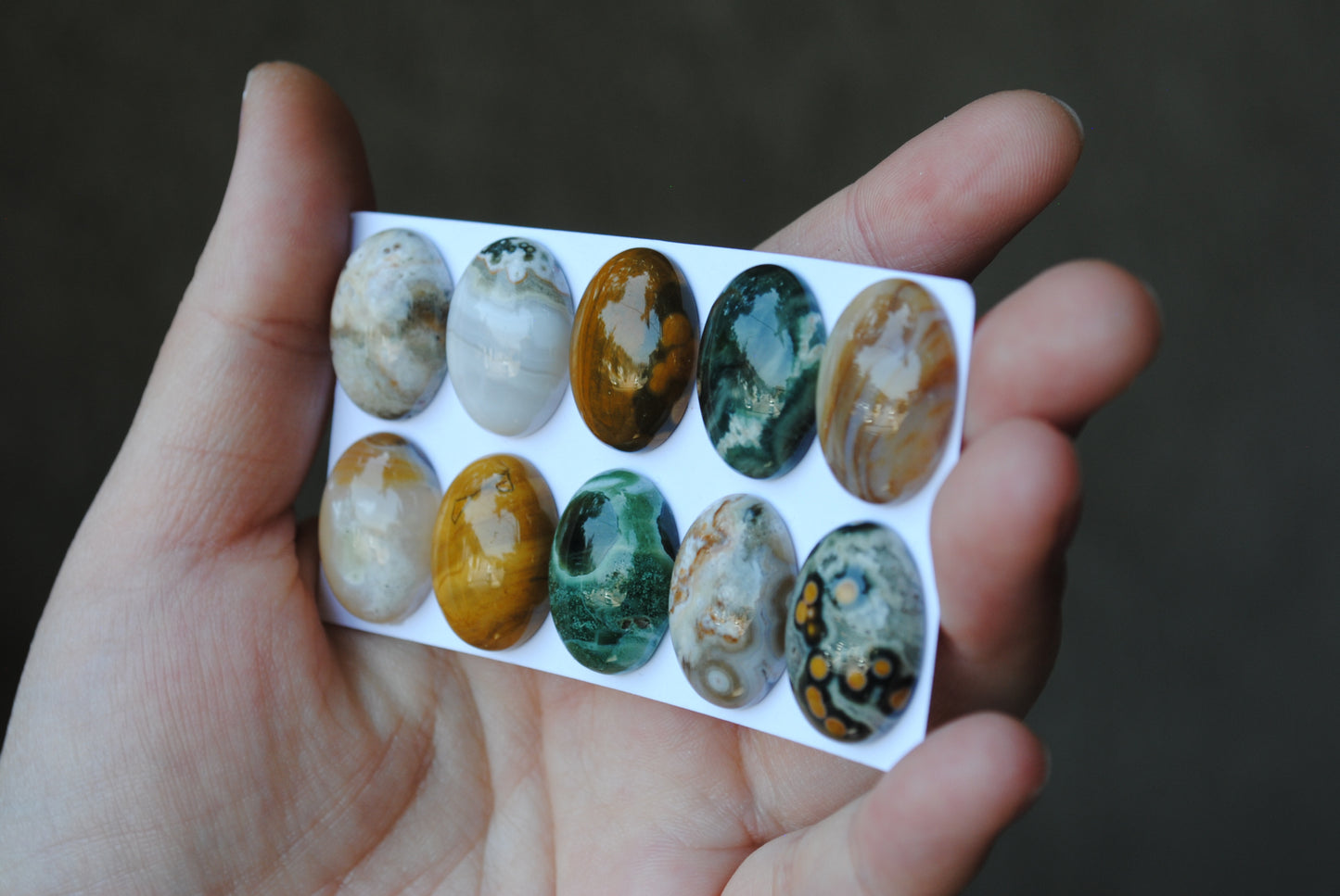 Oval Ocean Jasper cabochons