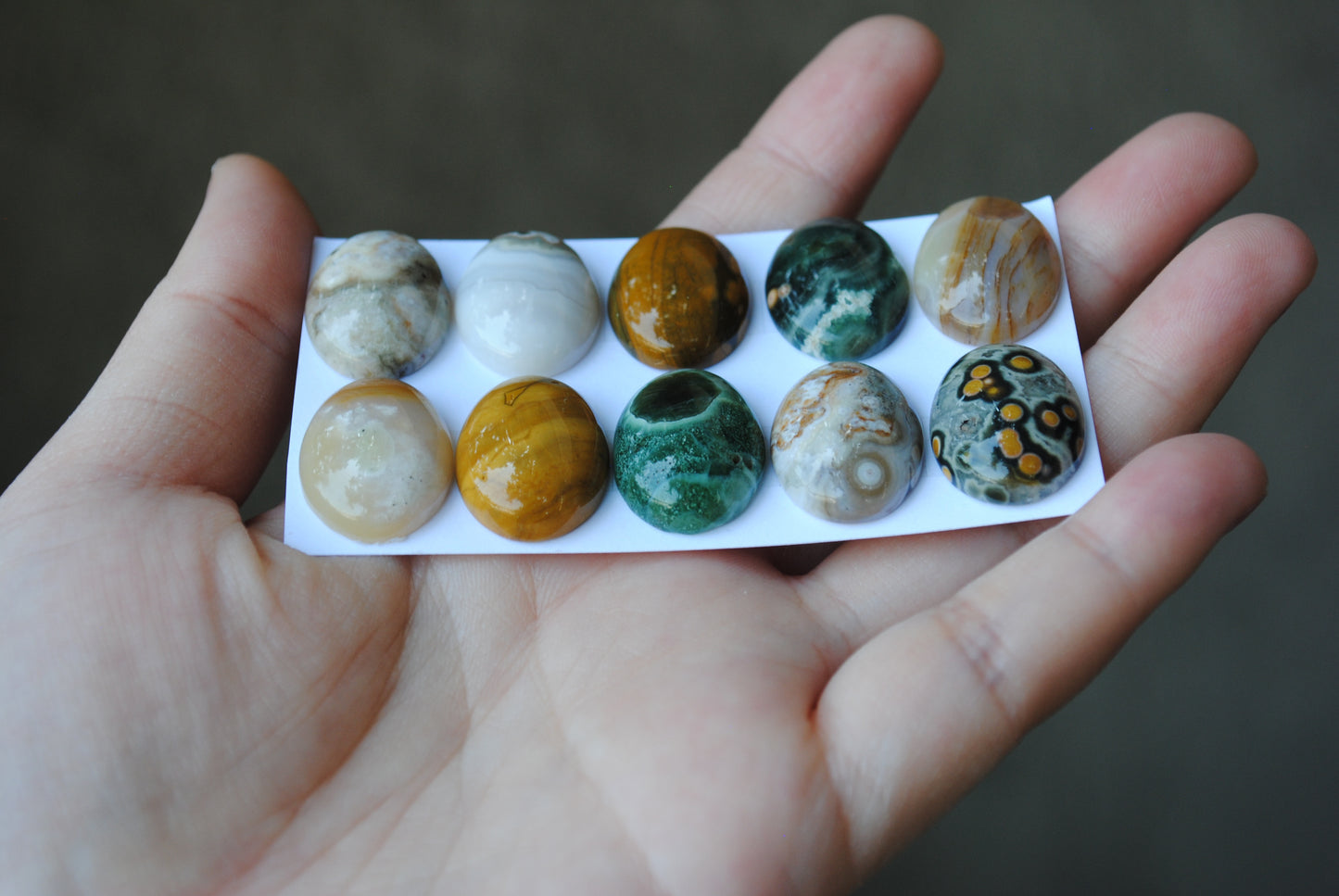 Oval Ocean Jasper cabochons