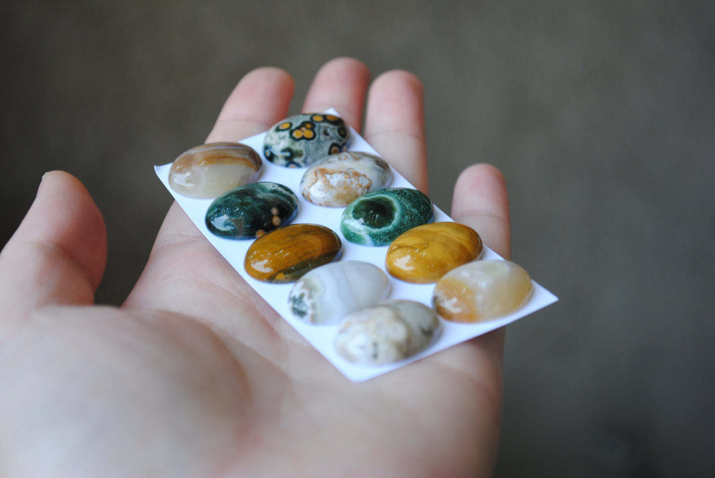 Oval Ocean Jasper cabochons