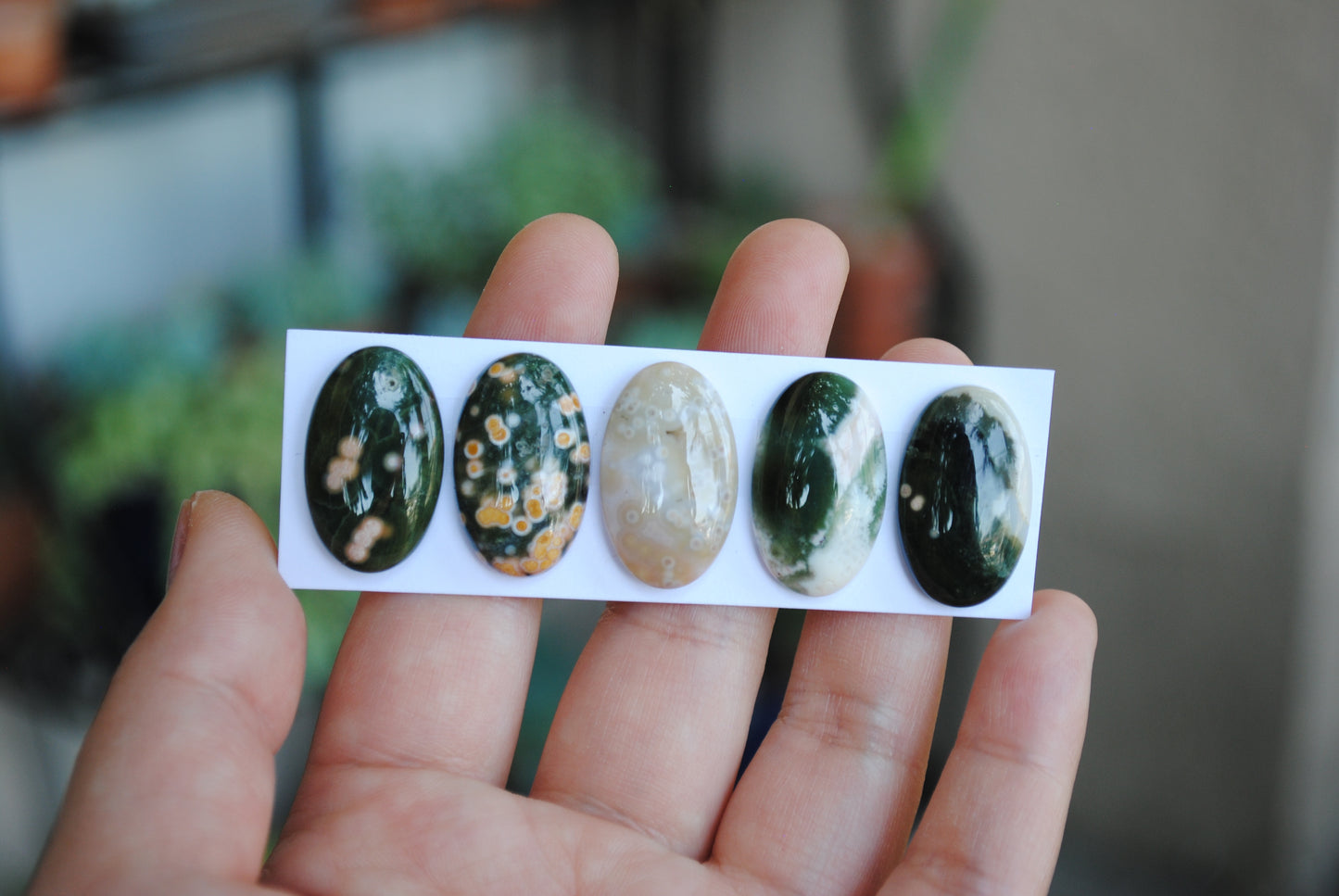 Oval Ocean Jasper cabochons