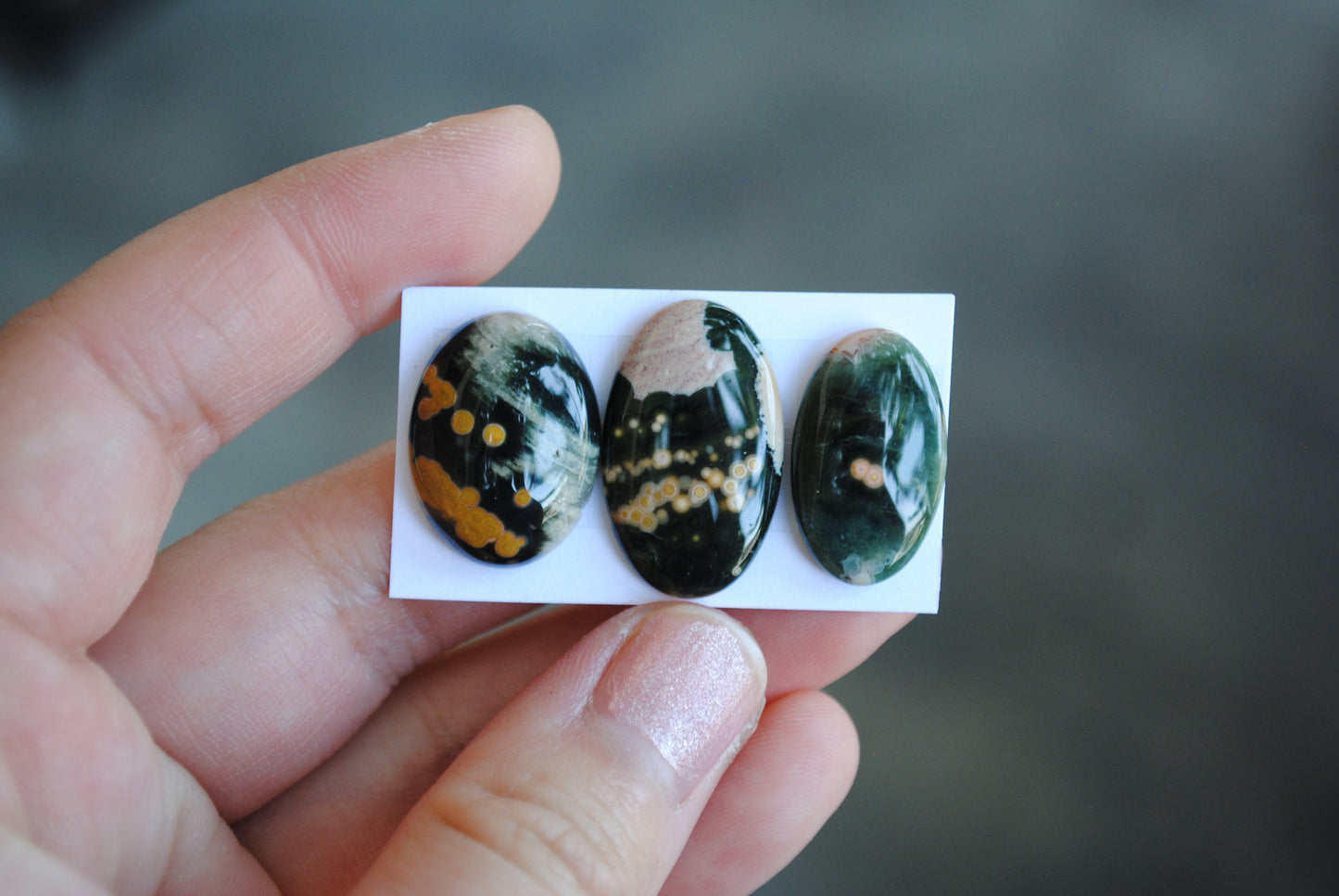 Oval Ocean Jasper cabochons