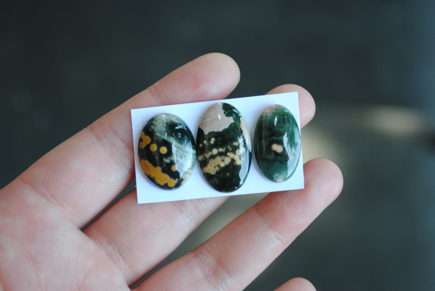 Oval Ocean Jasper cabochons