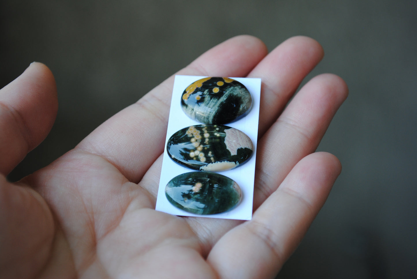 Oval Ocean Jasper cabochons