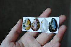 Drop Ocean Jasper cabochons