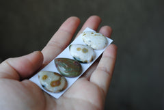 Drop Ocean Jasper cabochons