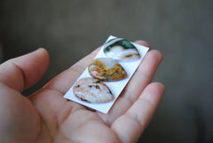 Drop Ocean Jasper cabochons