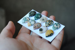 Drop Ocean Jasper cabochons