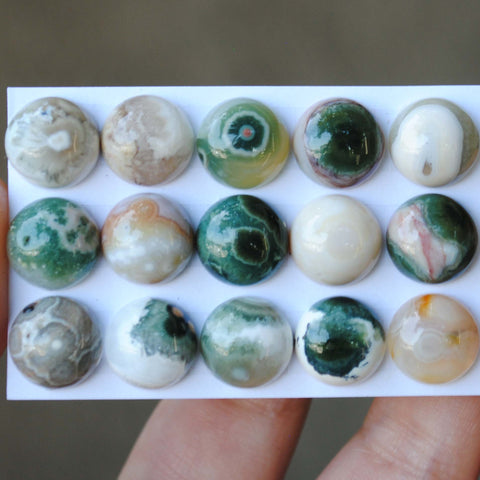 12mm Ocean Jasper cabochons