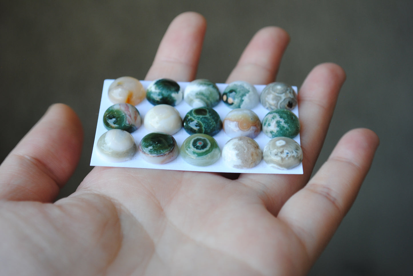 12mm Ocean Jasper cabochons