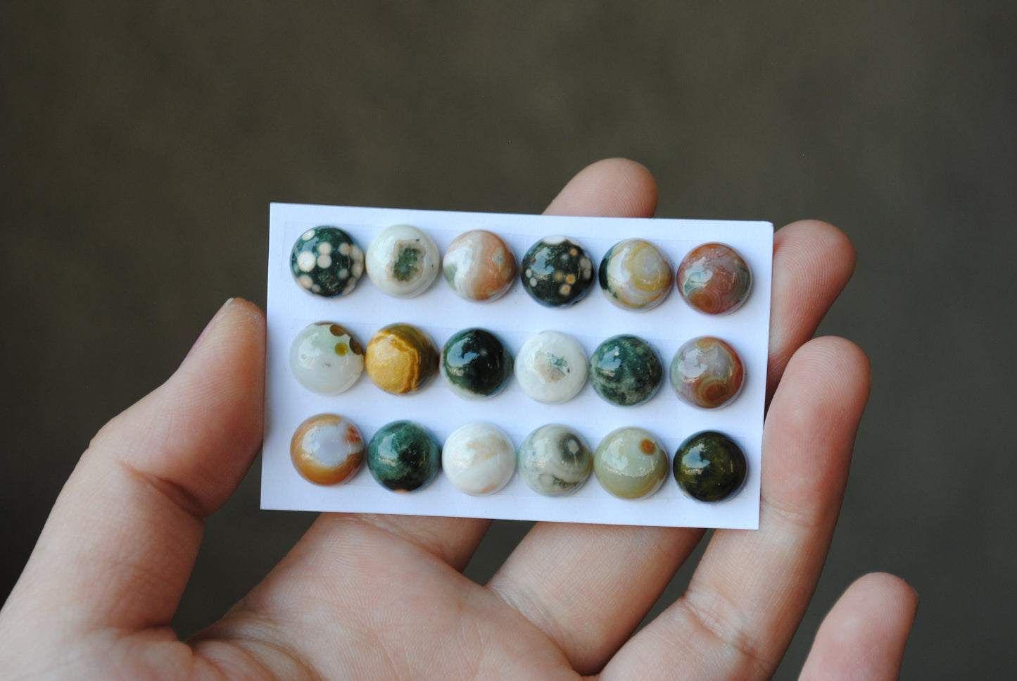 10mm Ocean Jasper cabochons