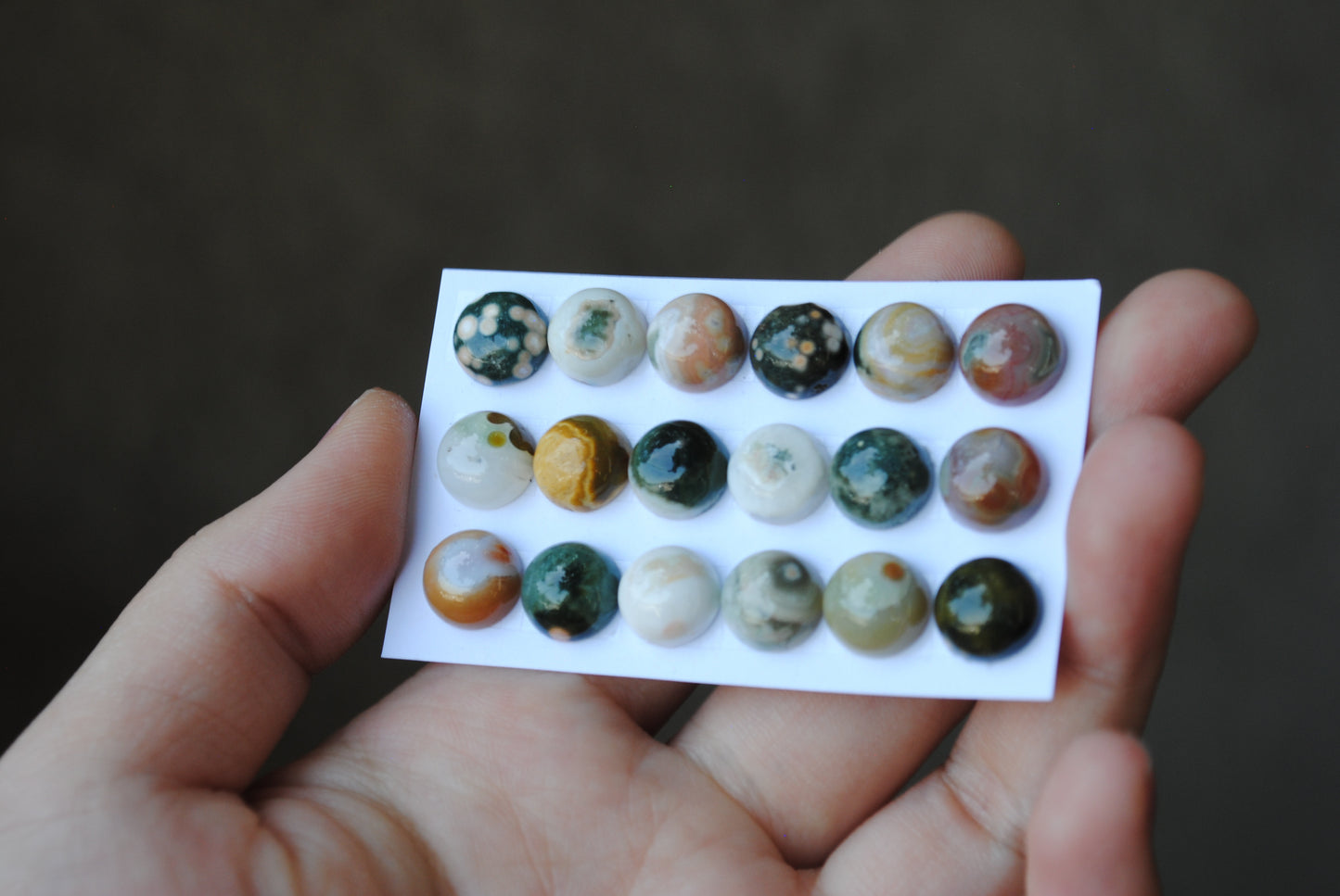 10mm Ocean Jasper cabochons