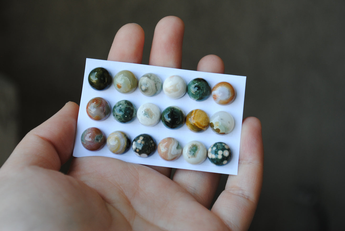 10mm Ocean Jasper cabochons