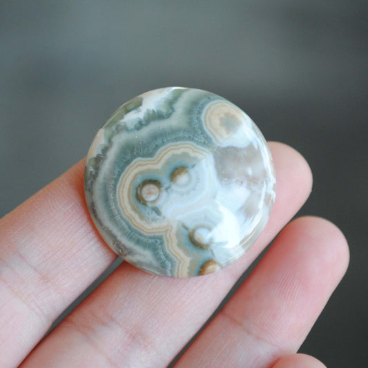 Round Ocean Jasper cabochon
