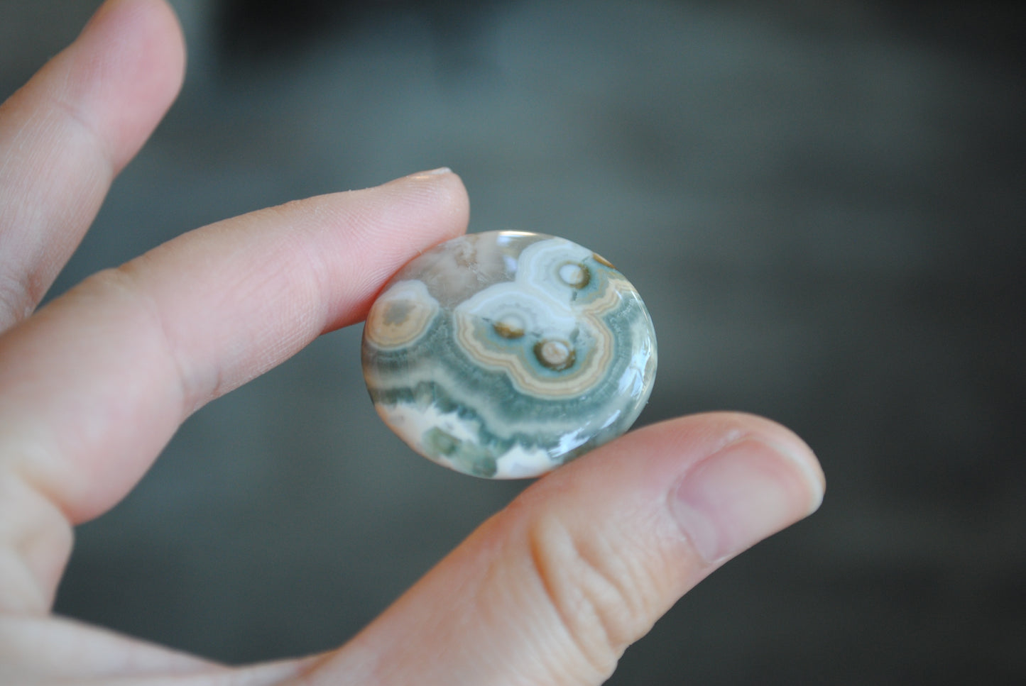Round Ocean Jasper cabochon