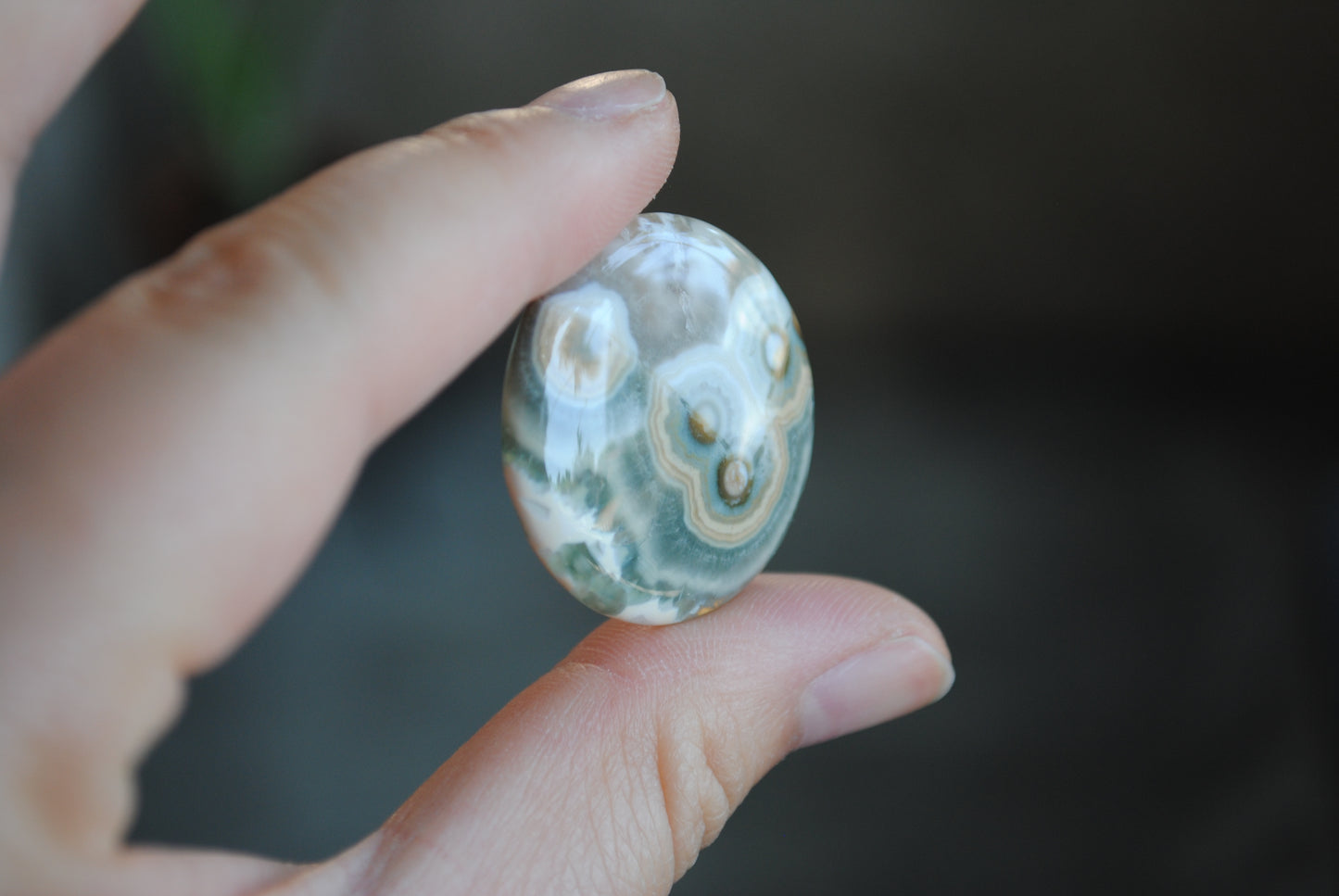 Round Ocean Jasper cabochon