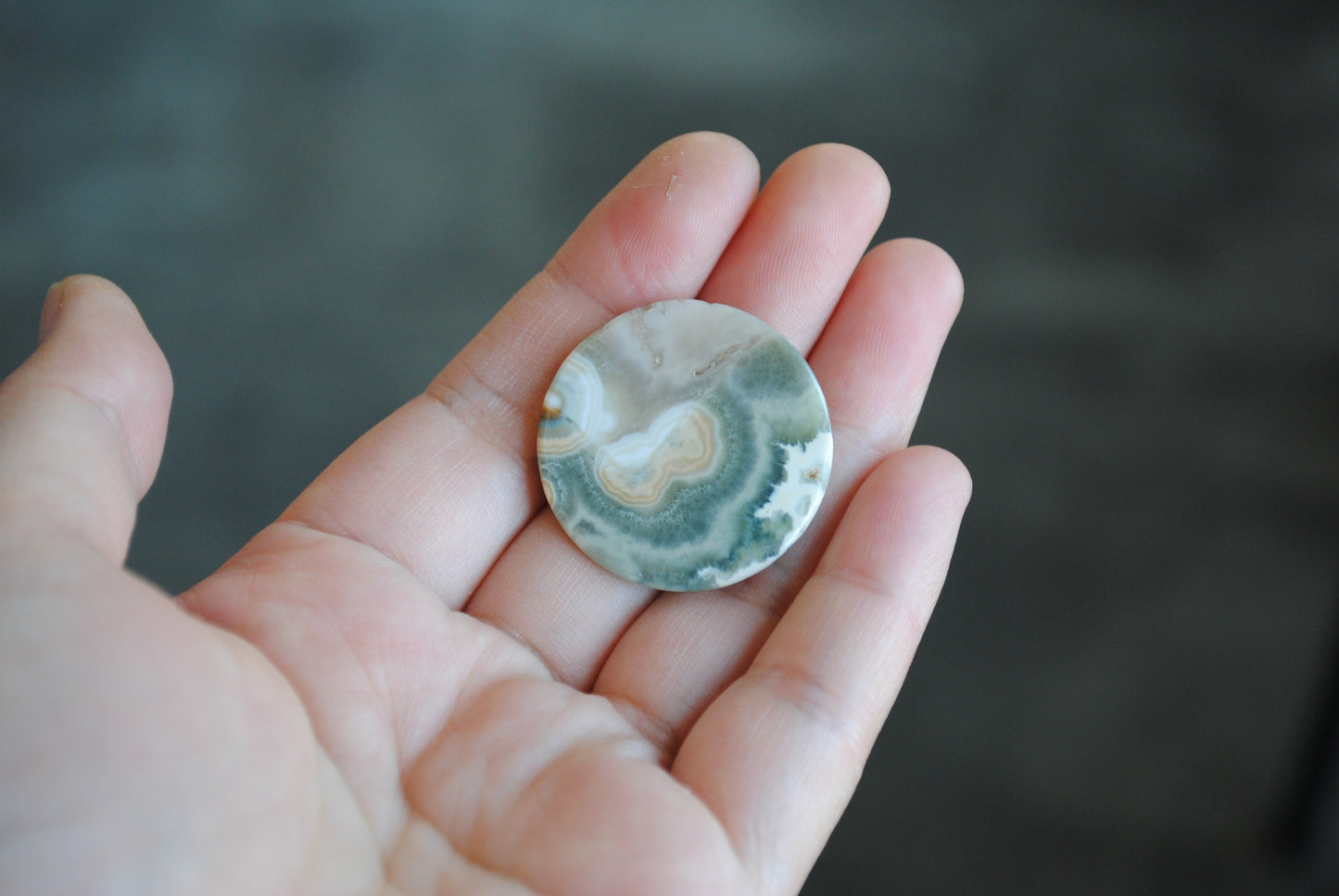 Round Ocean Jasper cabochon