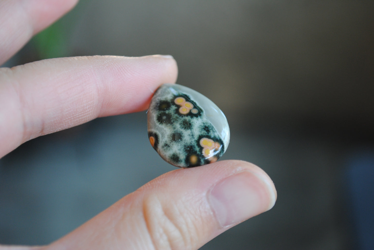 Drop Ocean Jasper cabochon