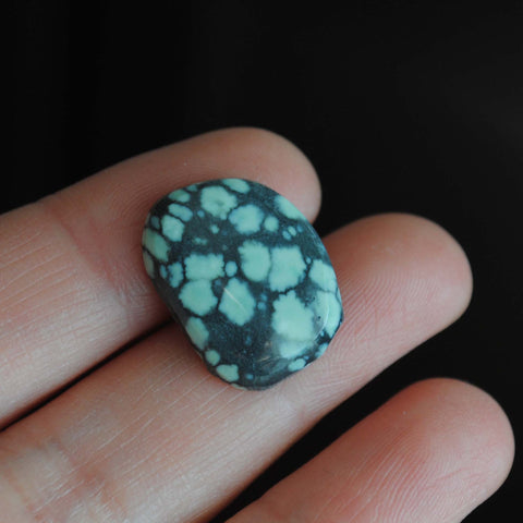 Treefrog cabochon