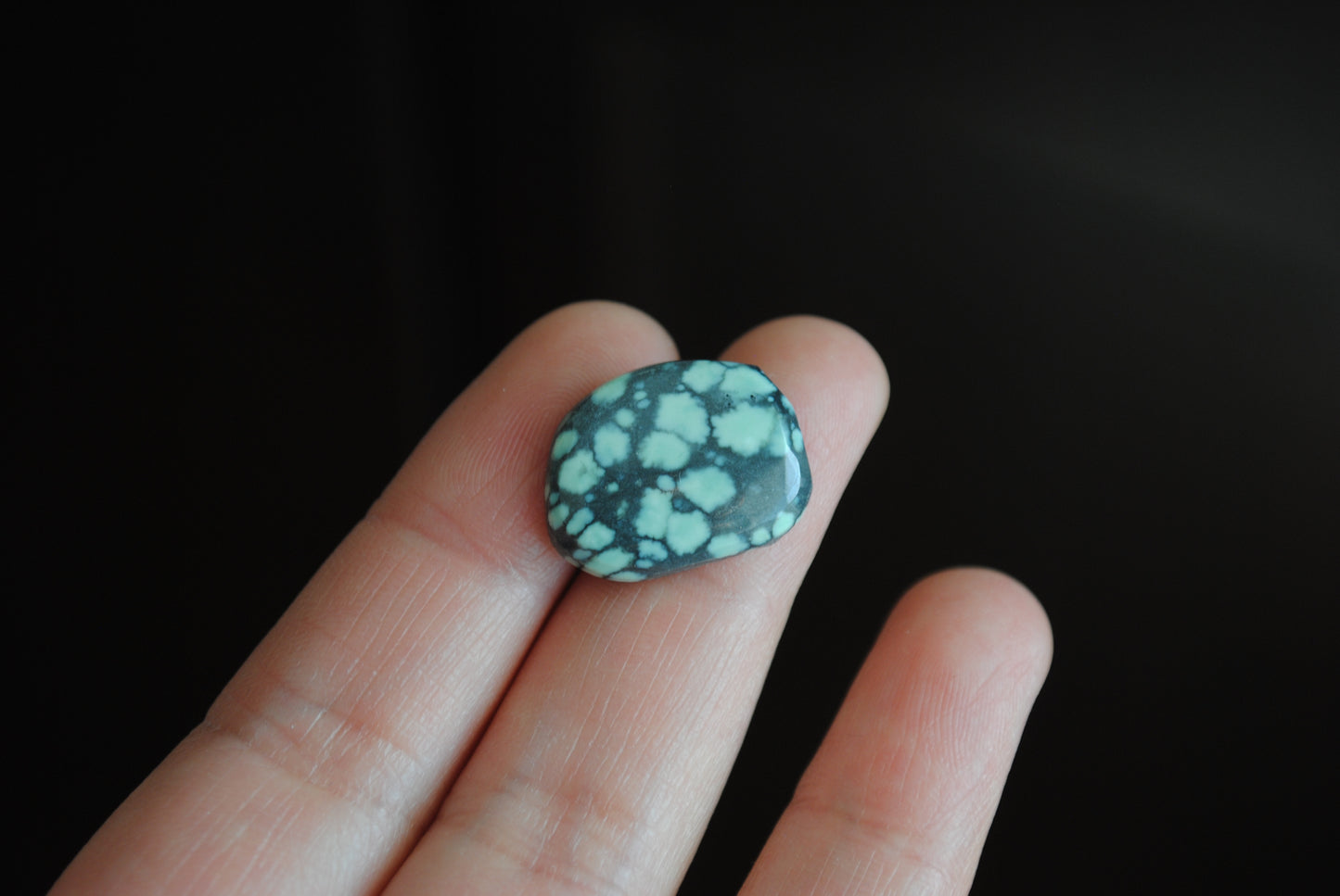 Treefrog cabochon