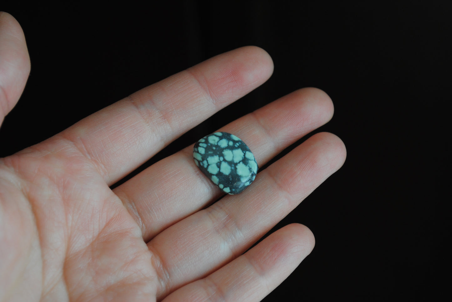 Treefrog cabochon