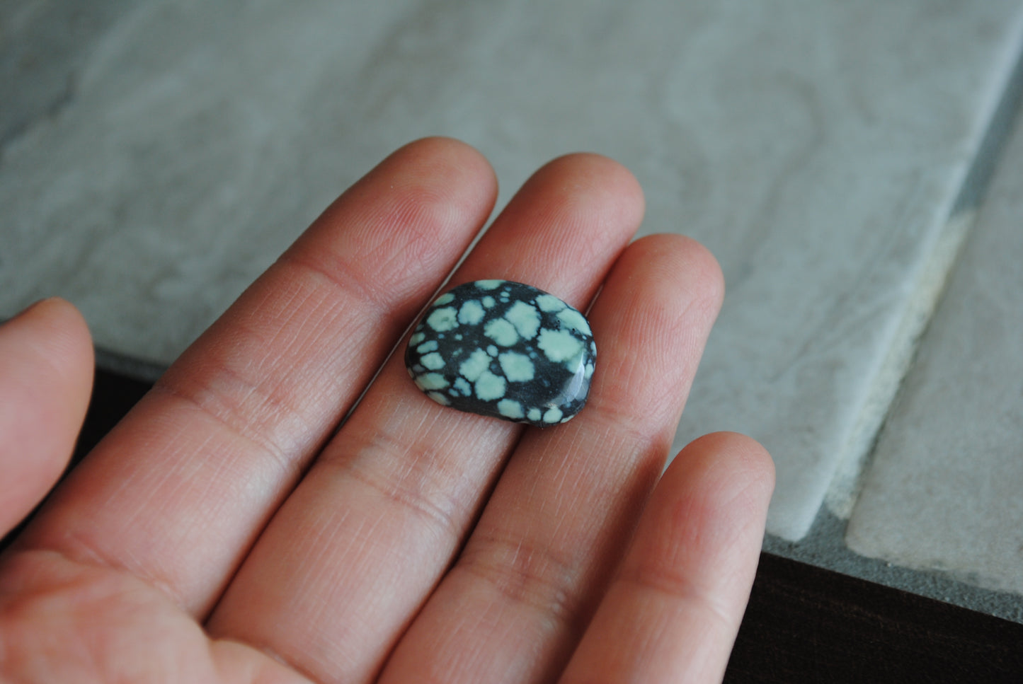 Treefrog cabochon